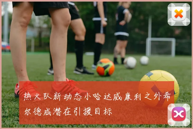 热火队新动态小哈达威康利之外希尔德成潜在引援目标