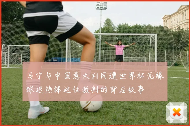 马宁与中国意大利同遭世界杯无缘球迷热捧这位裁判的背后故事